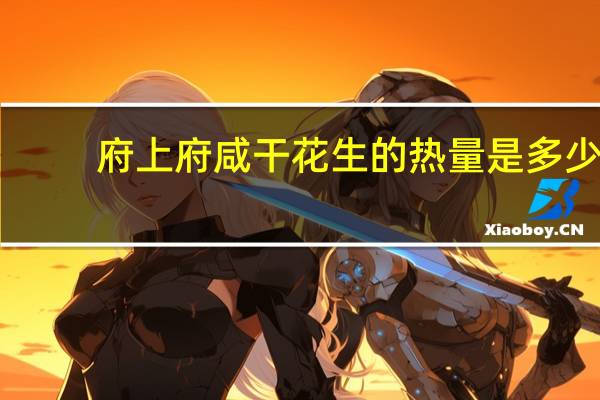 府上府 咸干花生的热量是多少