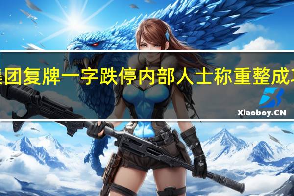 庞大集团复牌一字跌停 内部人士称重整成功概率超9成
