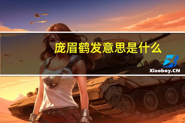 庞眉鹤发意思是什么