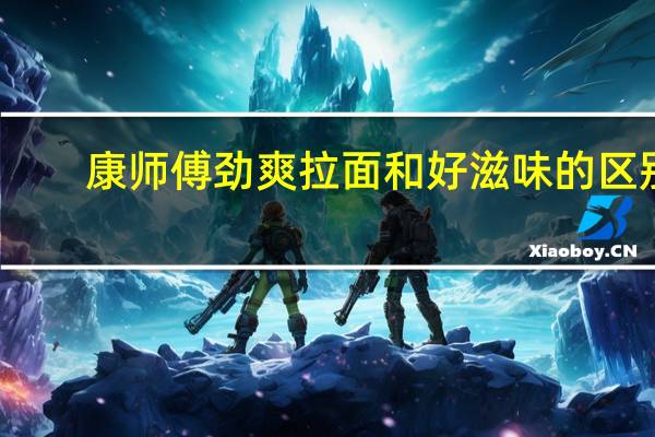 康师傅劲爽拉面和好滋味的区别