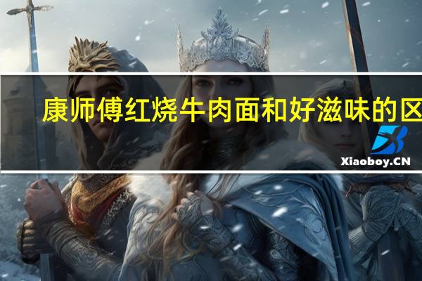 康师傅红烧牛肉面和好滋味的区别