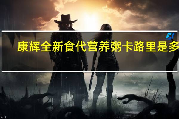 康辉 全新食代 营养粥卡路里是多少