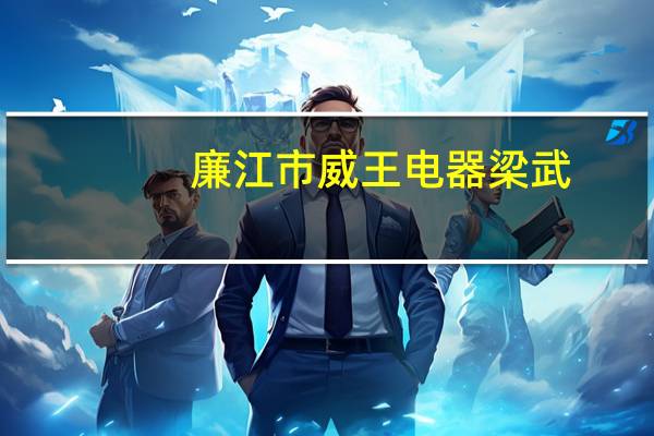 廉江市威王电器梁武（梁武-广东威王集团有限公司董事长介绍）