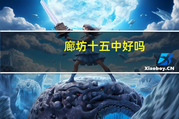 廊坊十五中好吗