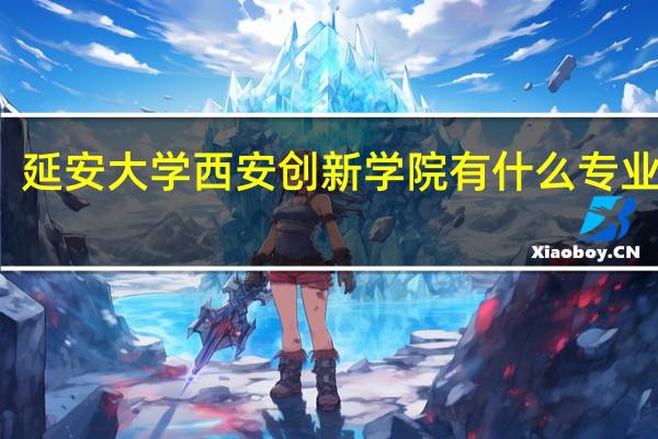 延安大学西安创新学院有什么专业好的