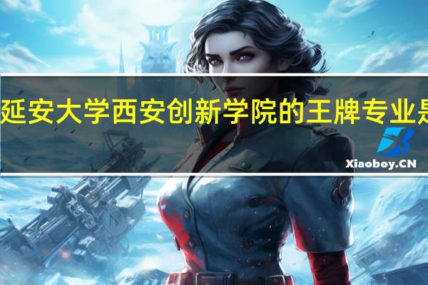 延安大学西安创新学院的王牌专业是什么
