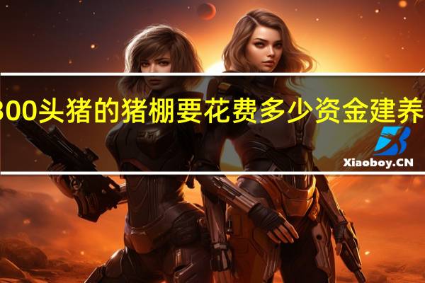 建一个能养300头猪的猪棚要花费多少资金 建养猪大棚需要多少钱