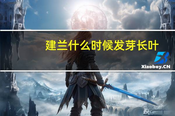 建兰什么时候发芽长叶