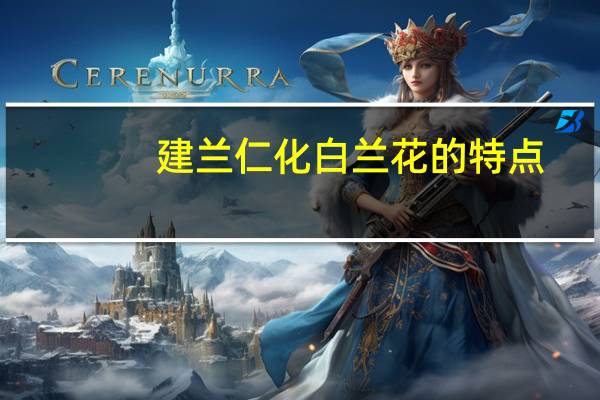 建兰仁化白兰花的特点
