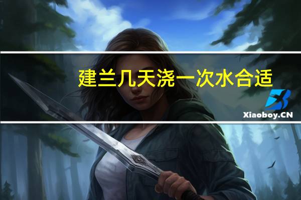 建兰几天浇一次水合适
