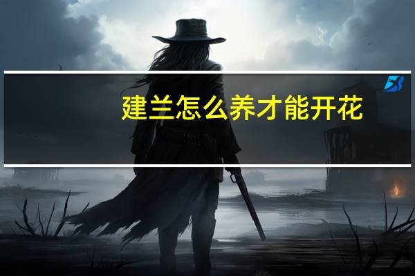 建兰怎么养才能开花