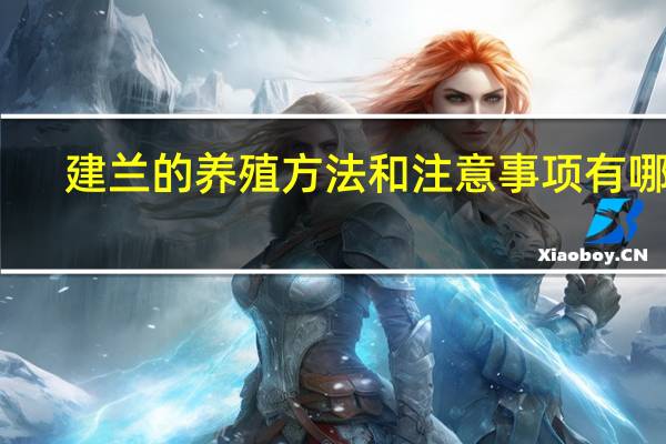 建兰的养殖方法和注意事项有哪些