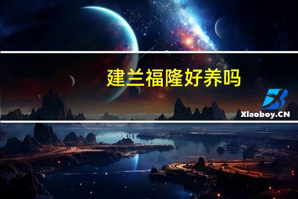 建兰福隆好养吗