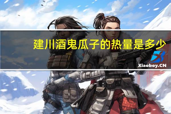 建川 酒鬼瓜子的热量是多少