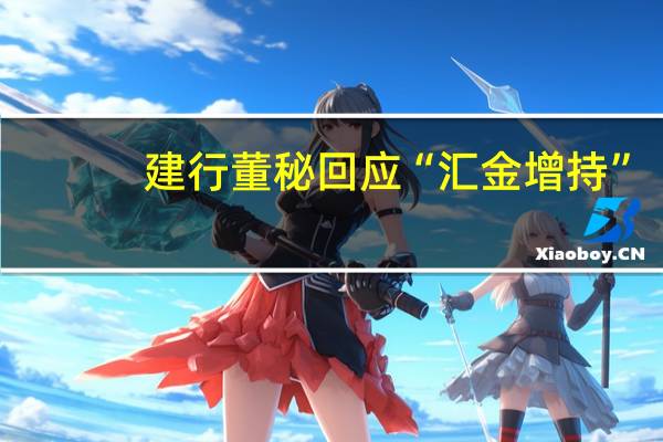 建行董秘回应“汇金增持”：此举释放“持续投入”的明确信号 有助于稳定投资者预期