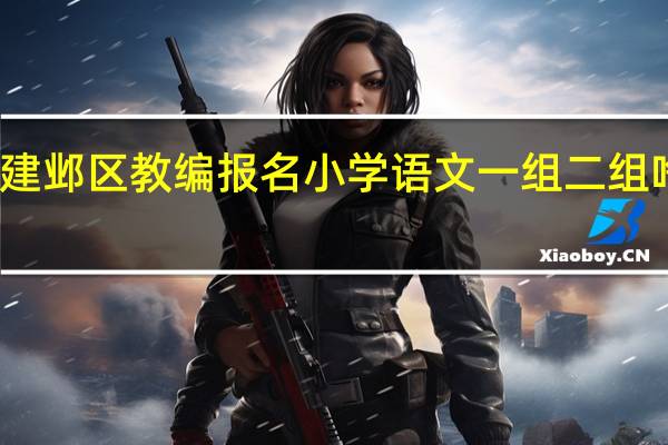 建邺区教编报名小学语文一组二组啥意思