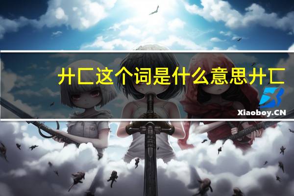 廾匚这个词是什么意思 廾匸(GONGXI)是什么意思