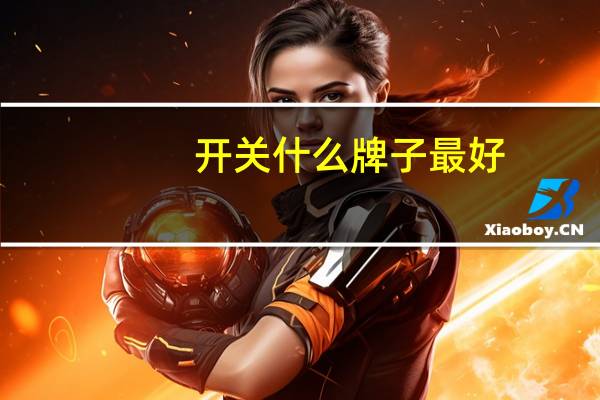 开关什么牌子最好