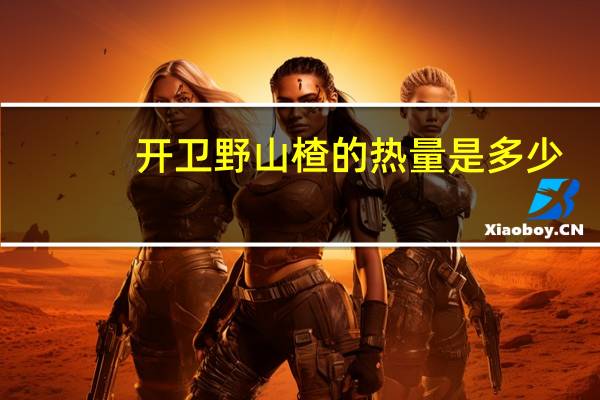 开卫野山楂的热量是多少