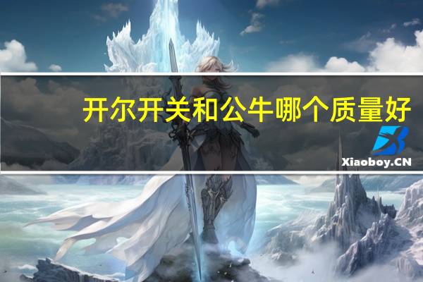 开尔开关和公牛哪个质量好