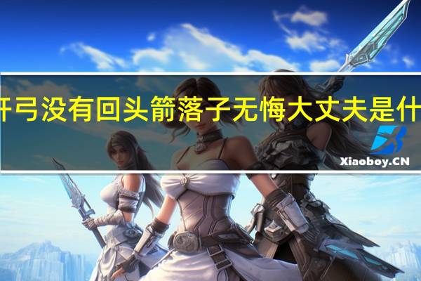 开弓没有回头箭落子无悔大丈夫是什么意思