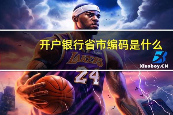 开户银行省市编码是什么（开户银行省市编码是什么意思）