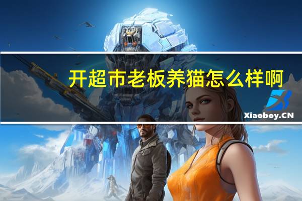 开超市老板养猫怎么样啊