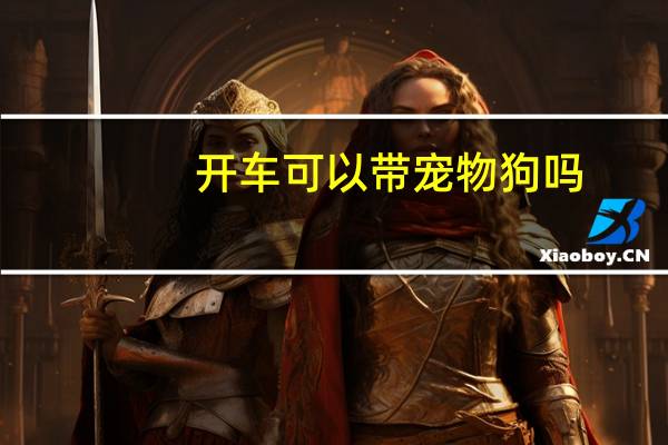 开车可以带宠物狗吗