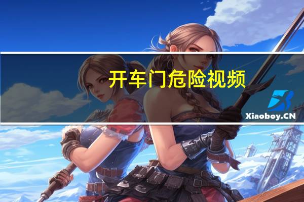 开车门危险视频（车震门2）