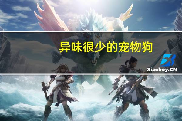 异味很少的宠物狗