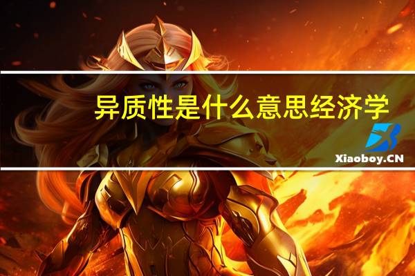 异质性是什么意思经济学（异质性是什么意思）