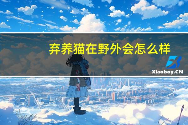 弃养猫在野外会怎么样