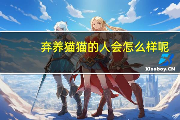 弃养猫猫的人会怎么样呢