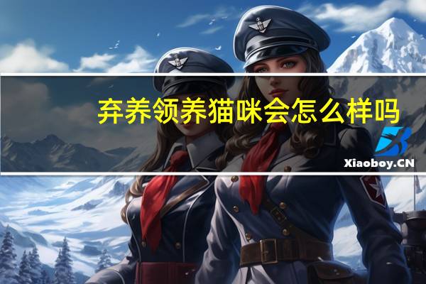 弃养领养猫咪会怎么样吗