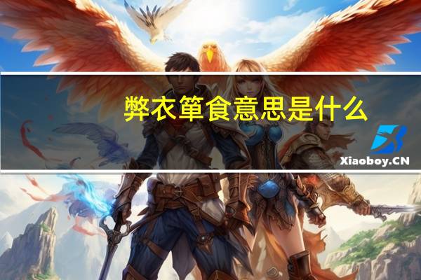 弊衣箪食意思是什么