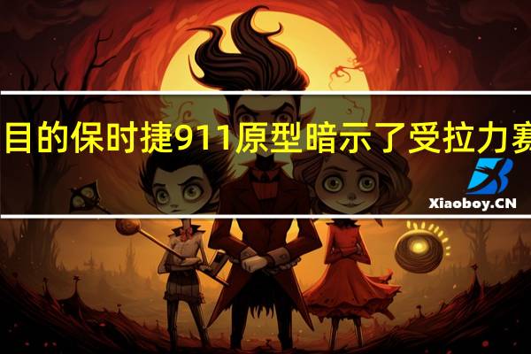 引人注目的保时捷911原型暗示了受拉力赛启发的变体