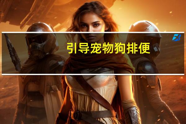 引导宠物狗排便