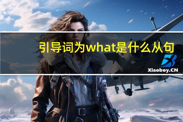 引导词为what 是什么从句