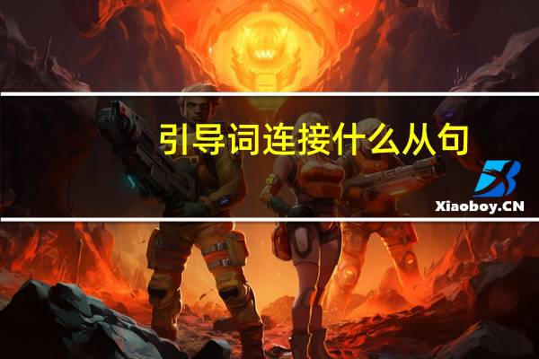 引导词连接什么从句