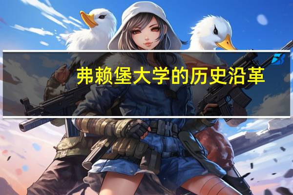 弗赖堡大学的历史沿革