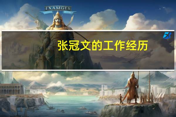 张冠文的工作经历