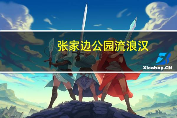 张家边公园流浪汉（张家边公园）