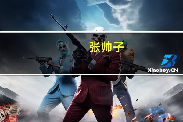 张帅子