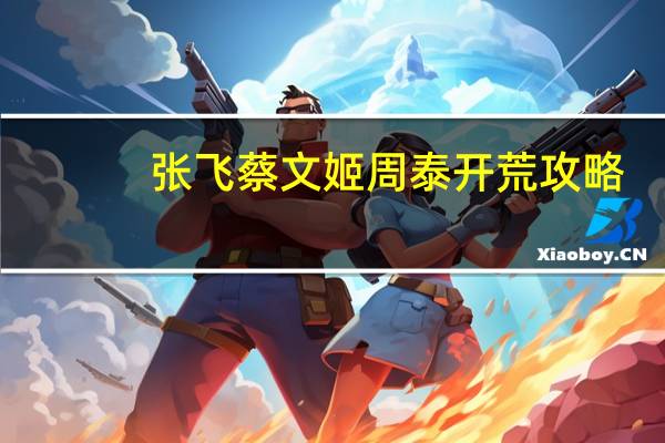 张飞蔡文姬周泰开荒攻略