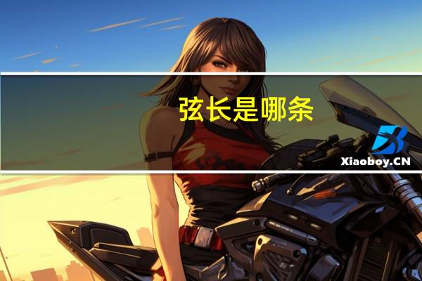 弦长是哪条