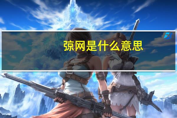 弶网是什么意思