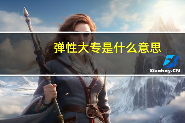 弹性大专是什么意思