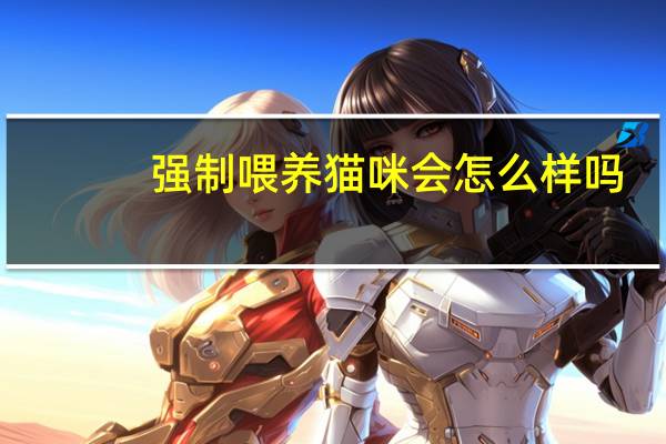 强制喂养猫咪会怎么样吗