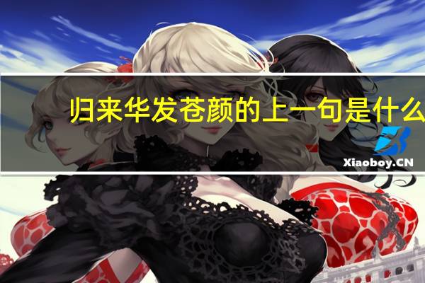 归来华发苍颜的上一句是什么