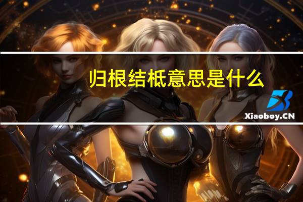 归根结柢意思是什么